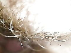 �������� ������������ ������� ����
